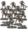 Necrons: Necron Warriors